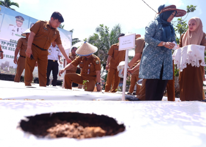 Pj Bupati Muaro Jambi Dukung Gerakan Tanam Cabai dalam Rangka HUT ke-25 Kabupaten