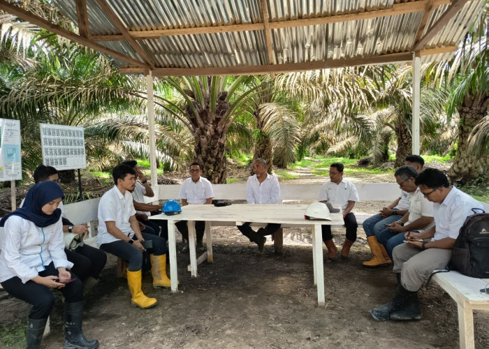 Kebun PTPN IV Regional IV Utamakan Operational Excellence 