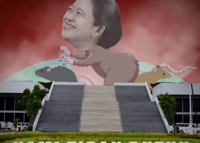 Sebut DPR sebagai Dewan Perampok Rakyat, BEM UI Posting Meme Puan Maharani Berbadan Tikus