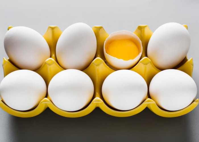 Perbedaan antara Telur Omega dan Telur Biasa