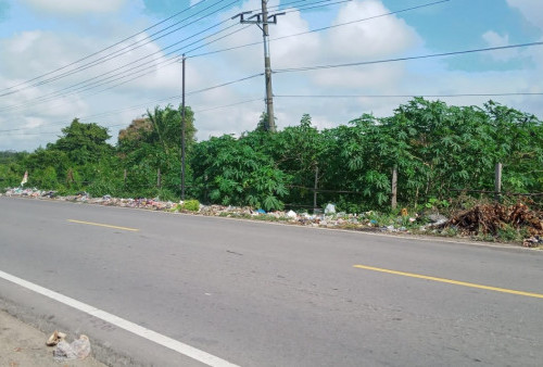 Sampah Masih Menumpuk di Jalan Lintas Timur Jambi, Lurah Penyengat Rendah: Hari Ini Dibersihkan