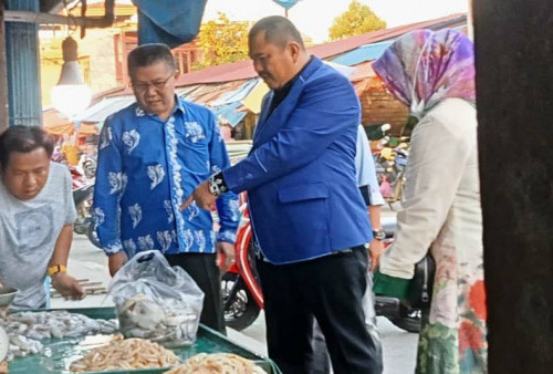 Ketua DPD Demokrat Provinsi Jambi Keliling Pasar Parit Satu Kuala Tungkal