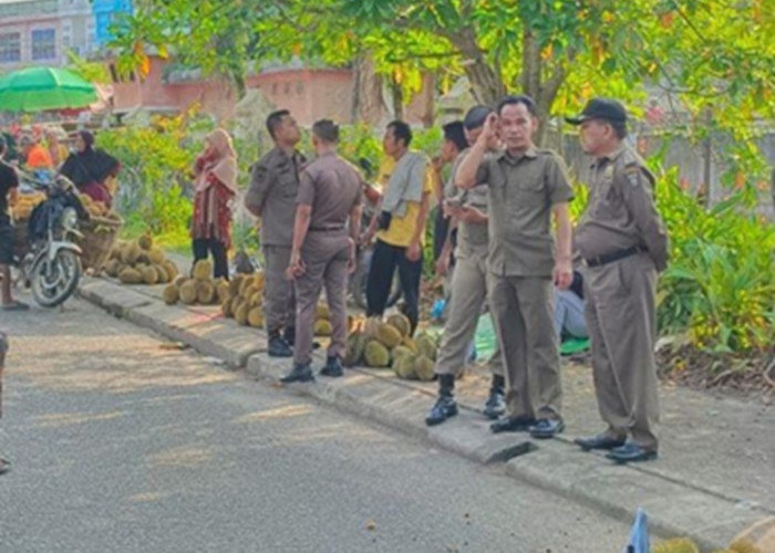 Dianggap Salahi Aturan, Satpol PP Bungo Tertibkan Pedagang Durian di Taman Kota Muara Bungo