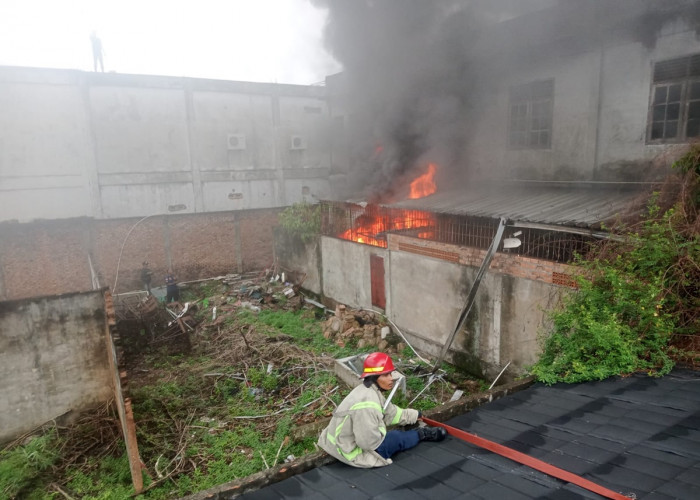 Gudang Dealer Kawasaki di Kota Jambi Kebakaran, Ini Penyebabnya