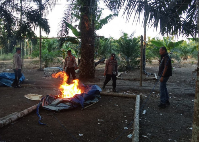 Langkah Tegas Kapolres Tanjab Timur! Arena Sabung Ayam di Muara Sabak Timur Dibongkar