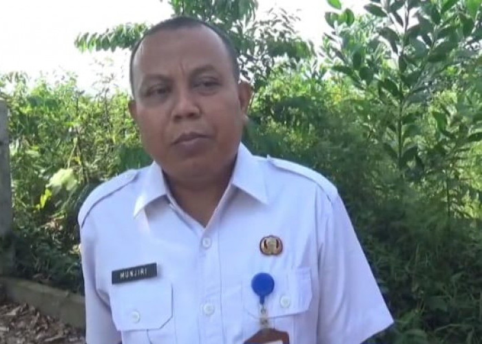   Stok Hewan Kurban di Kabupaten Muaro Jambi Tembus 6 Ribu Ekor Menjelang Idul Adha