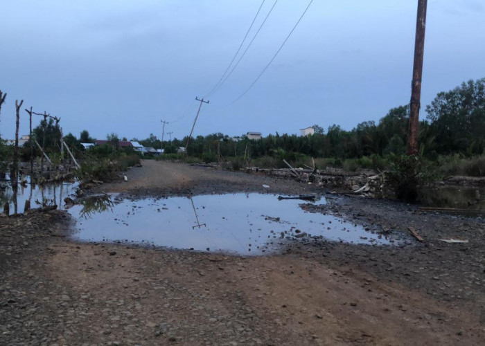 Gelap Gulita dan Rawan Hewan Berbisa, Jalan Parit Pulau Kabupaten Tanjab Timur Butuh Penerangan