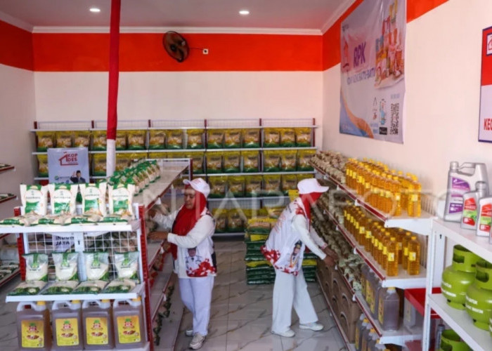 Gaji BUMN, Kerja di Desa: Lowongan Manager Kopdes Merah Putih yang Wajib Kamu Coba