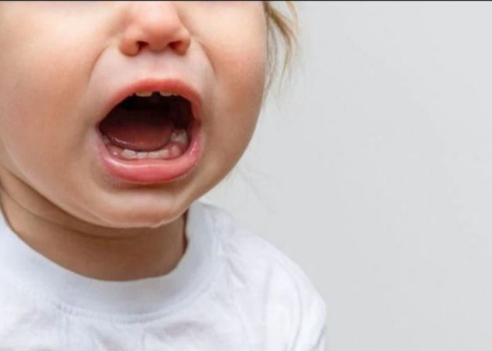 Kebiasaan Anak yang Suka Menghisap Jari Bikin Gigi Maju Ternyata Mitos, ini Faktanya