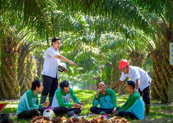PalmCo Serap 70 Ribu Tenaga Kerja, Bidik Peluang Baru dari Hilirisasi Sawit
