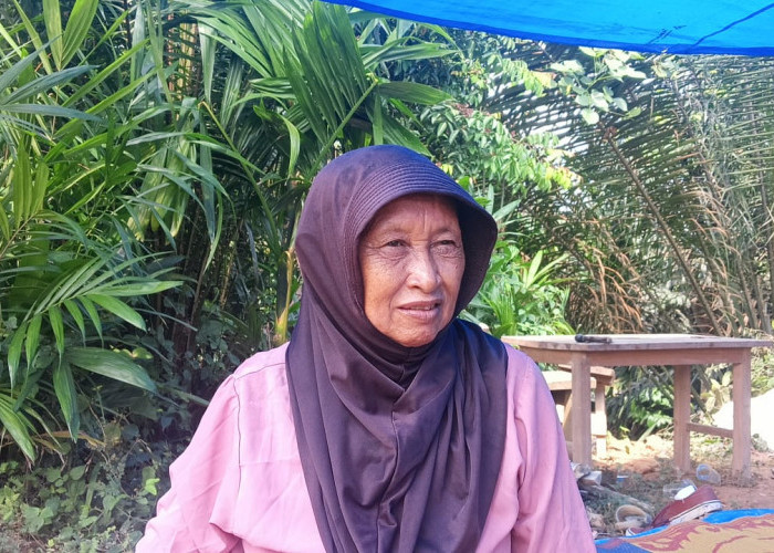 Gerakan Pulihkan Hutan Lanskap Bukit Tigapuluh Meluas Hingga ke Petani Perempuan
