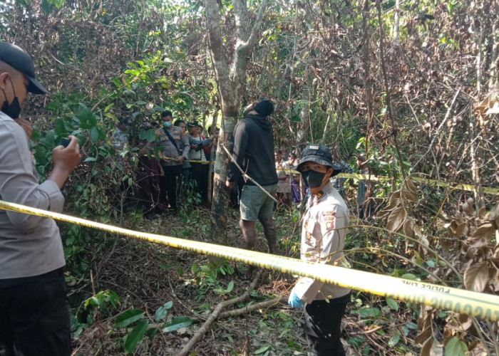 Warga Tanah Sepenggal Lintas, Kabupaten Bungo Dihebohkan dengan Penemuan Mayat Tergantung di Kebun Karet