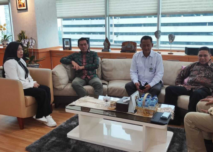 Perkuat Mutu Guru dan Sekolah, Bupati Fadhil Arief Koordinasi dengan Kemendikbudristek