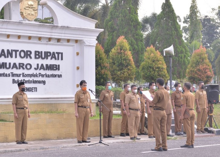 97 Persen Gaji ke-13 di Muaro Jambi Sudah Tersalurkan, Pemkab Targetkan Tuntas 100 Persen