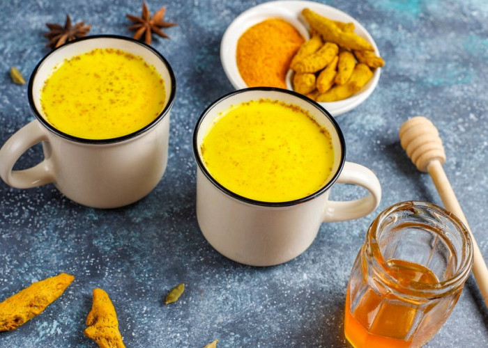 Gula Darah dan Kolesterol Aman Meski Makan Ketupat dan Rendang? Ini Rahasia Rempah dan Jamu Pahit!