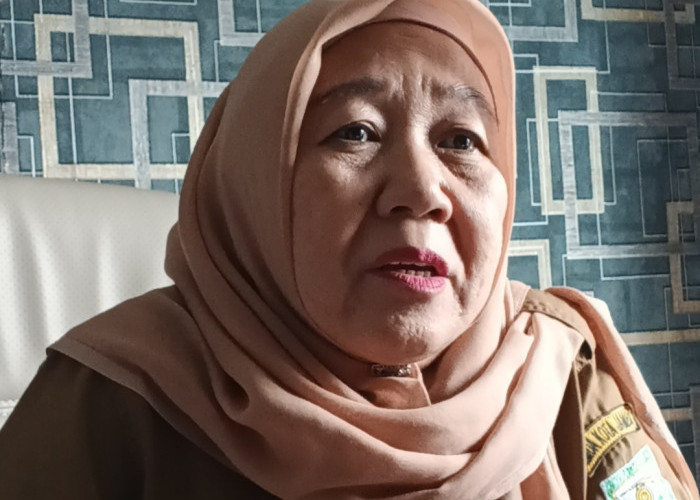 Kasus ISPA di Kota Jambi Tembus 13.500, Dinkes Imbau Warga Waspadai Kabut Asap