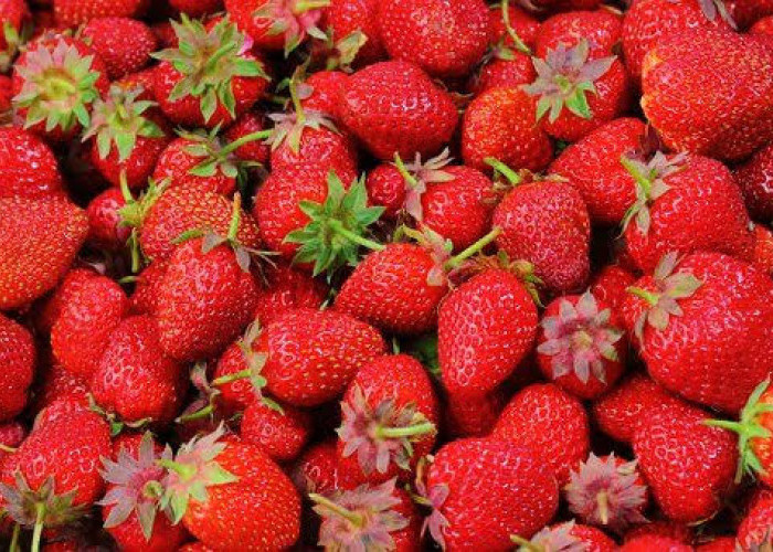 Viral Karakter Strawberry Generation, Apa Kamu Termasuk? Simak Penjelasannya 