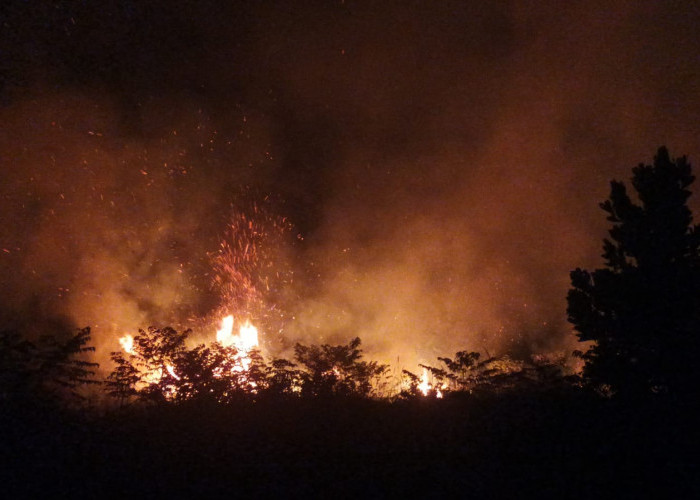 Kebakaran Lahan Terjadi di Kabupaten Bungo, 1 Hektar Lahan Kosong Ludes Dilahap Api
