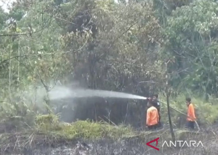 Lima Titik Dipadamkan, Karhutla di Muaro Jambi Meluas