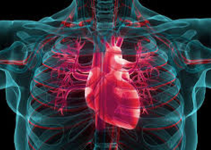 Jantung Bahagia  saat Rutin Rutin Minum Air Putih Setiap Pagi