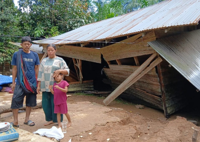 Banjir Terjang Kampung Penual Ujung Tanjung, Ratusan Rumah Terendam