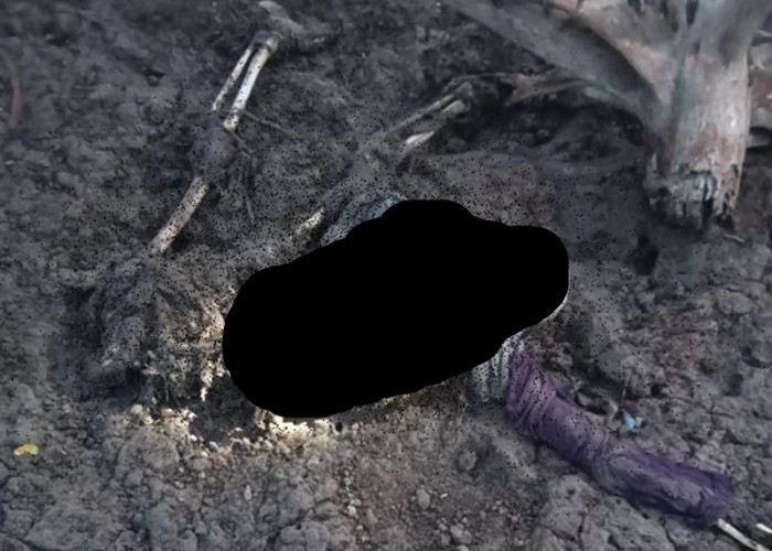GEMPAR! Tengkorak Manusia Ditemukan di Pesisir Sungai Sayang, Warga Tanjab Timur Berbondong-bondong Datangi Lo
