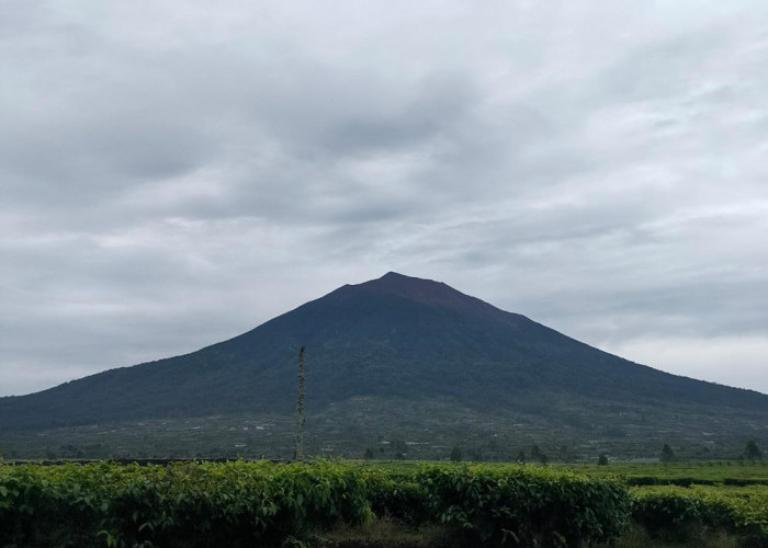 Pendaki Wajib Tahu! Gunung Kerinci, Danau Gunung Tujuh dan Masurai Kembali Dibuka