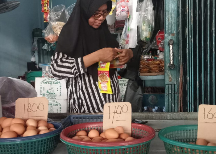 Harga Telur di Kota Jambi Masih Tinggi, Pedagang Ungkap Penyebabnya