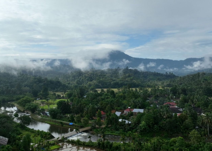 Bujang Raba Menuju Era Baru Perdagangan Karbon Berbasis Masyarakat