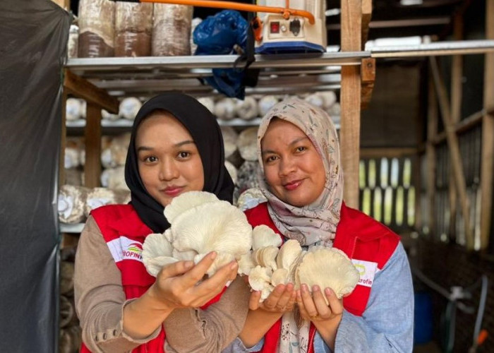 Elnusa Petrofin Gelar Petrofin Peduli CSR Award 2025, Komitmen Unit Operasi Wujudkan Dampak Berkelanjutan