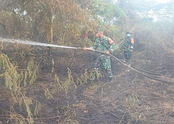 Karhutla di Kota Jambi, 10 Hektar Lahan di Sijenjang Hangus Terbakar
