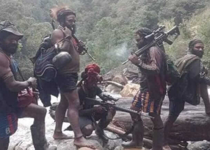 Sembunyi Dari Kepungan TNI-Polri, Anggota KKB Sembunyi di Hutan Papua, Menyamar Menjadi Masyarakat Biasa
