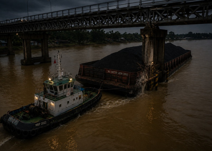 Kacau Nih! Tongkang Batu Bara Tabrak Fender Jembatan Muara Sabak, Tiga Tiang Hilang