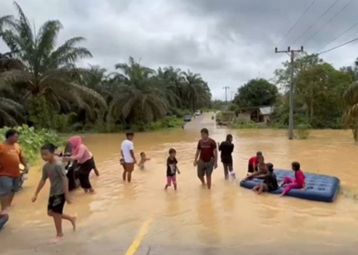 Banjir Parah di Tebo! Jalan Nasional Lumpuh Total, 141 Rumah Terendam – Akses Tebo–Tanjab Barat Terputus