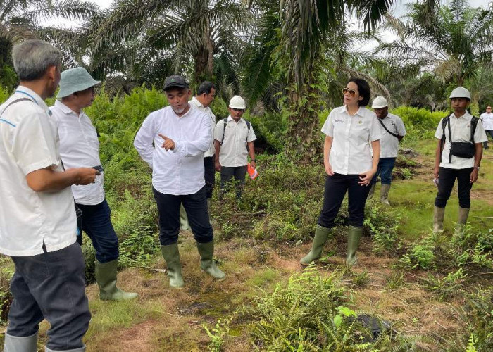 Direksi Palmco Pastikan Target Produksi PTPN Regional 4 Tercapai 
