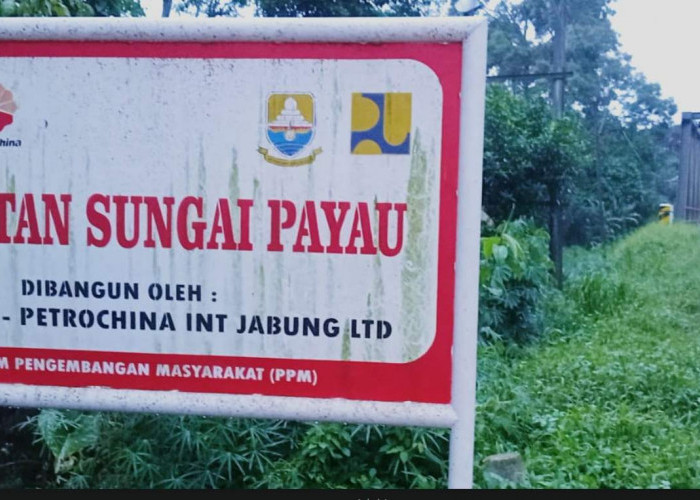 Jembatan Sei Payau SKK Migas-PetroChina, Bukti Sinergi dan Dukungan Insfrastruktur di Kabupaten Muaro Jambi
