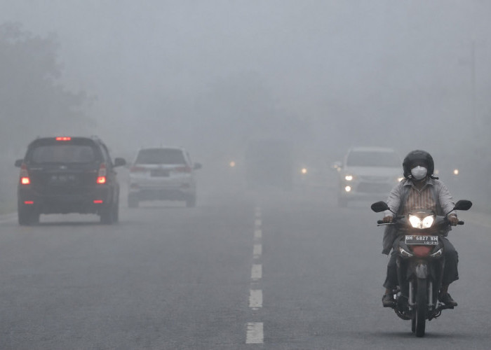 Saat Kabut Menutupi Jalan, 7 Langkah Ini Bantu Pengendara Tetap Cari Aman