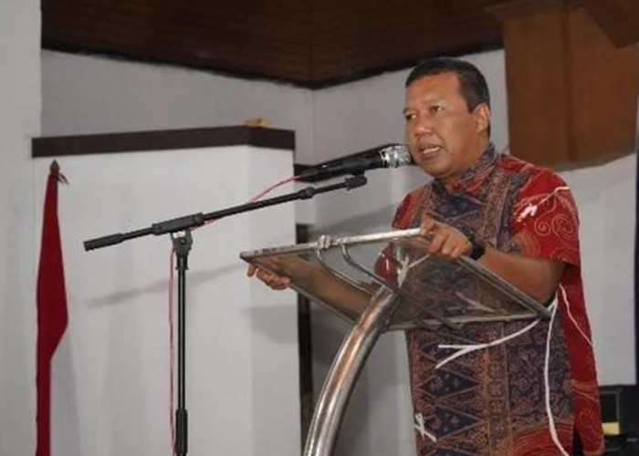 Tetap Tegar Meski Dicopot dari Ketua DPD PAN Tanjab Timur, Ini Pernyataan Romi Haryanto