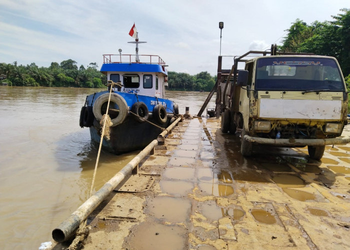 4 Truk Bermuatan Sawit Tenggelam di Sungai Batang Tebo, 1 Orang Hilang