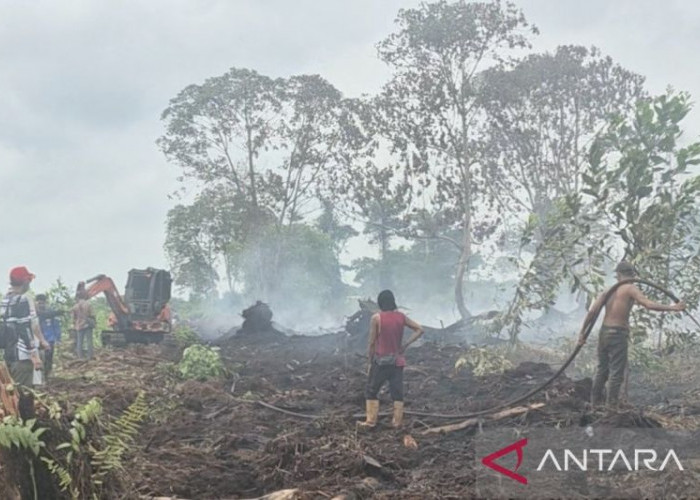 Cegah Kebakaran Meluas di Tanjab Timur, Satgas Karhutla Terapkan Pola Penyekatan