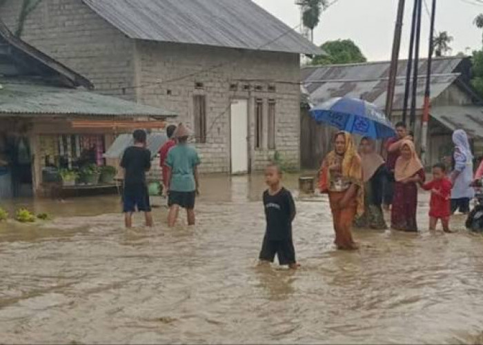 552 Rumah Terdampak Banjir di Balaesang dan Sirenja  Sulteng