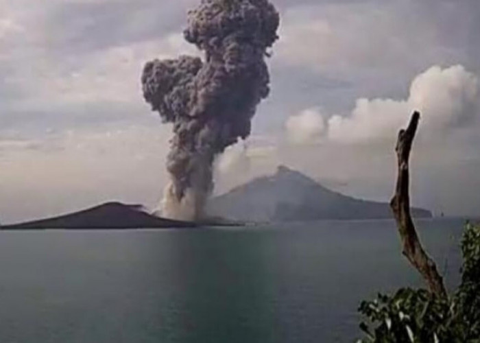 Gunung Anak Krakatau Erupsi, Muntahkan Abu Vulkanik, Masyarakat Diminta Siaga