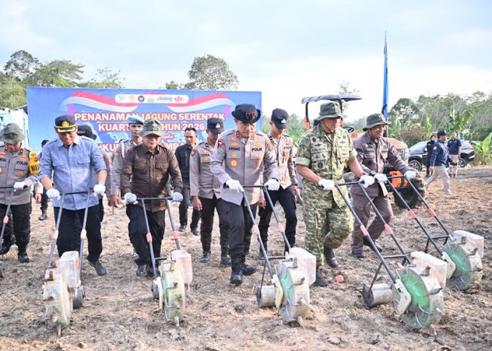 Tanam Jagung 1 Juta Hektare! Kapolri Pimpin Gerakan Nasional, Polda Jambi Turun Langsung ke Lahan