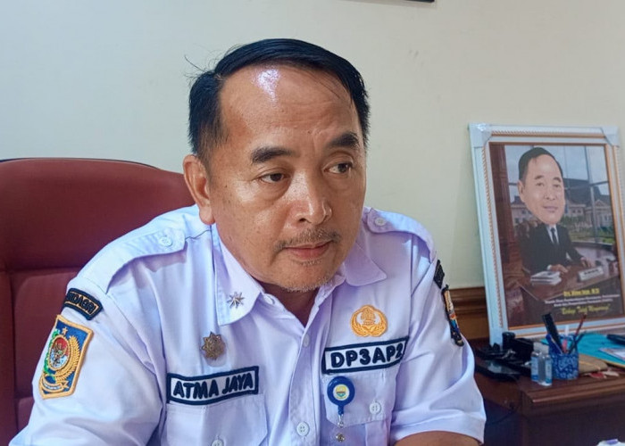 Kasus Dugaan TPPO Bayi di Batang Hari Jadi Bahan Evaluasi DP3AP2 Provinsi Jambi