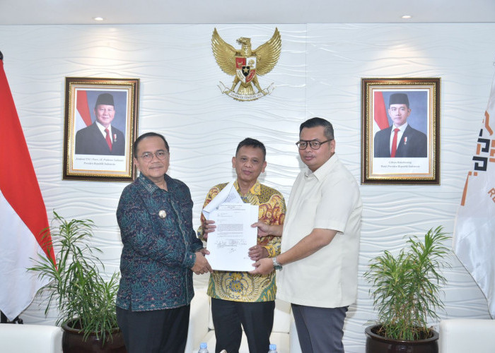 Kemas Faried Bersama Wali Kota Serahkan Surat Pencabutan Zona Merah ke Istana 