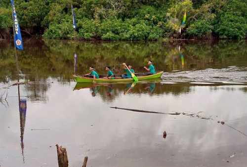 Intip Keseruan Balap Perahu di Sungai Telukdawan, Arenanya Merupakan Habitat Buaya Muara