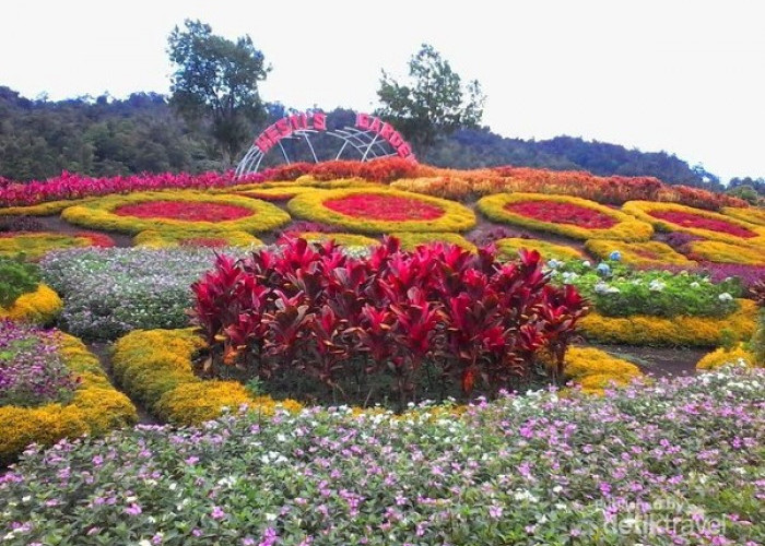 Tempat Menarik dan Fotogenik di Jambi, Ada yang Memiliki Hamparan Taman Bunga Berwarna Warni