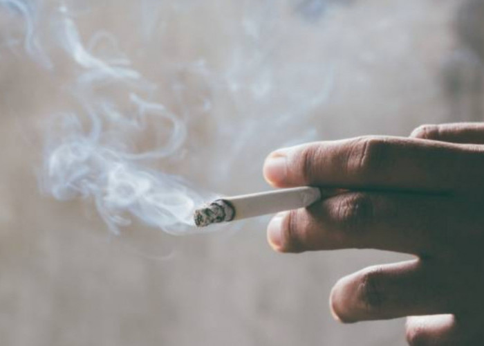 Ini Daftar Harga Rokok yang Resmi Naik 1 Januari 2023, Efek Naiknya Tarif Cukai