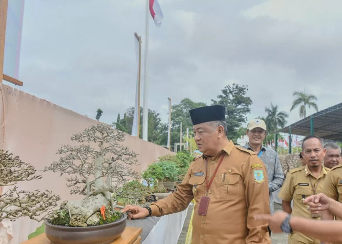 Sekda Kota Jambi Membuka Job Fair, Pameran Bonsai, dan Bazar UMKM dalam Rangka HUT Pemkot Jambi ke-78