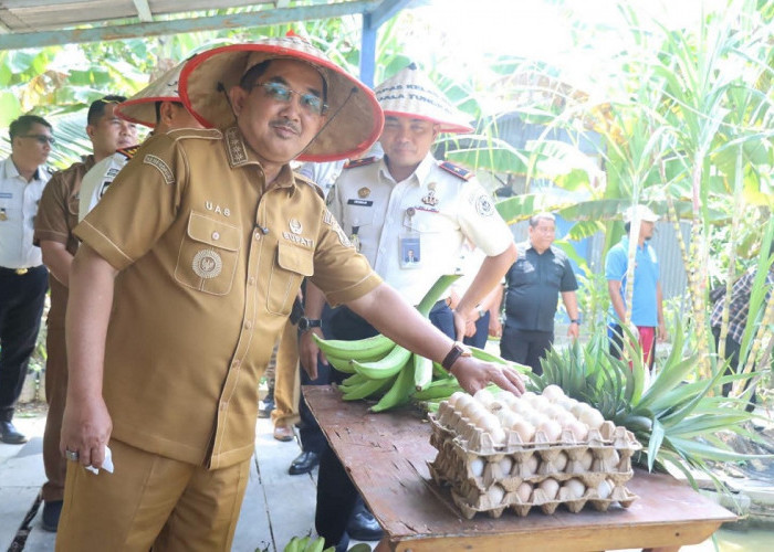 Bupati Anwar Sadat Serahkan Bantuan Bedah Rumah dan Hadiri Panen Raya di Bram Itam